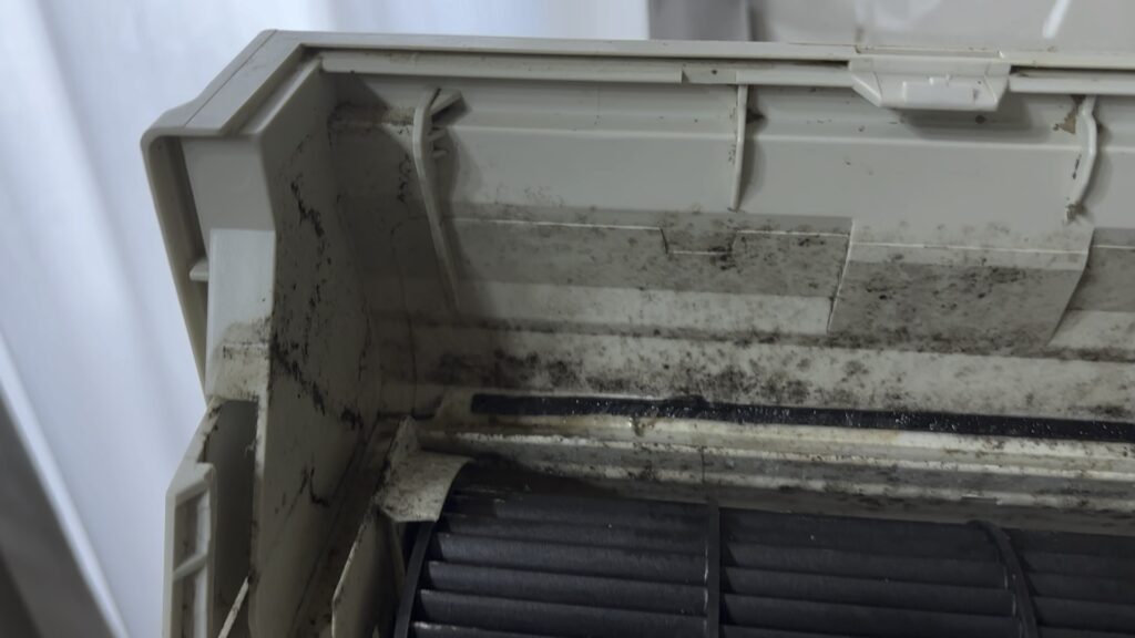 casing_after_normal_cleaning