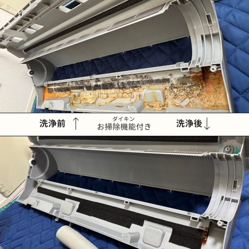 before_after_photo(2)