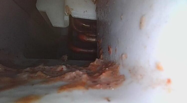 ドレンパン内部